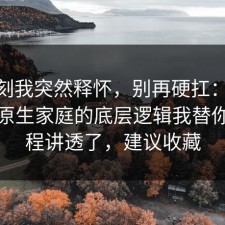 那一刻我突然释怀，别再硬扛：91爆料网原生家庭的底层逻辑我替你把流程讲透了，建议收藏