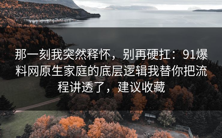 那一刻我突然释怀，别再硬扛：91爆料网原生家庭的底层逻辑我替你把流程讲透了，建议收藏  第1张